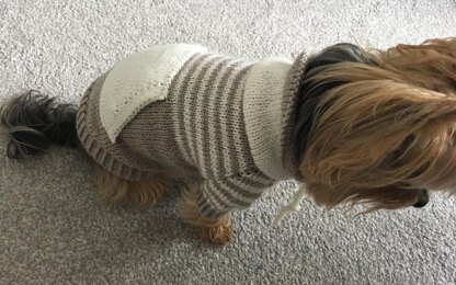 Oatmeal Sweater with Kangaroo Pocket for Dogs