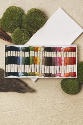 DMC Collectors Box 30 Shades Eco Vita Naturally Dyed Organic Wool Thread