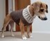 Earhart Dog Sweater UK TERMS 1214