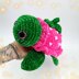 Turtle Custom Strawberry