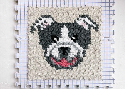 C2C Bulldog / Pitbull Dog Blanket Square