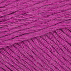 Hanoi Plum