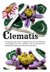 Clematis Granny - Door