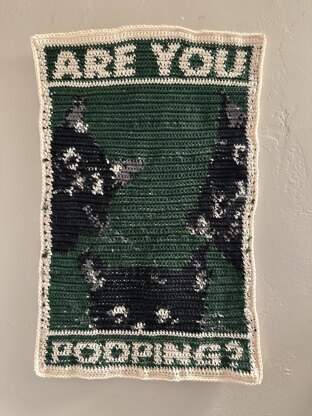 Are You Pooping?
