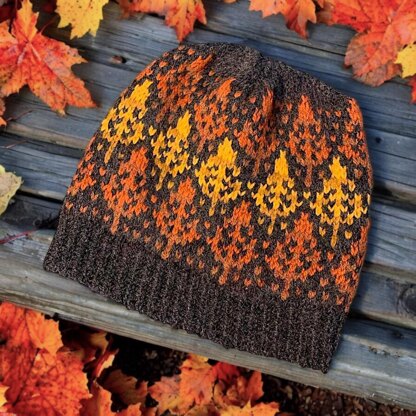 Mohawk Trail Knit Hat