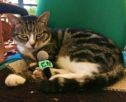 Cat News Microphone