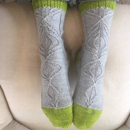 Cotyledon Socks