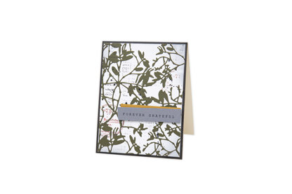 Sizzix Thinlits Die - Leafy Twigs by Tim Holtz
