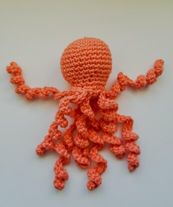 Octopus