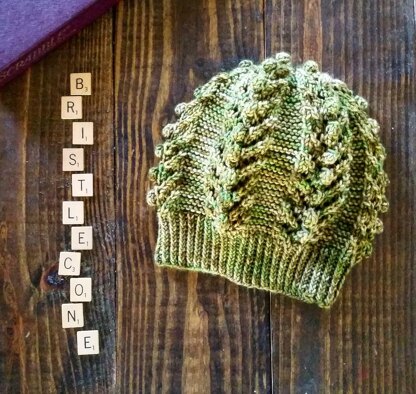 Bristlecone Hat