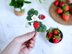 Strawberry twig brooch