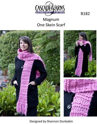 One Skein Scarf in Cascade Magnum - B182