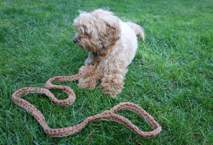 Super Chunky Dog Leash