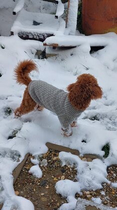 Dog Sweater Charlie No.3