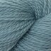 Silver Teal