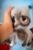 196 Cute Owl