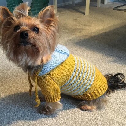 Hooded Sweater for Dogs