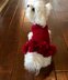 Lady in Red Doggy Dress