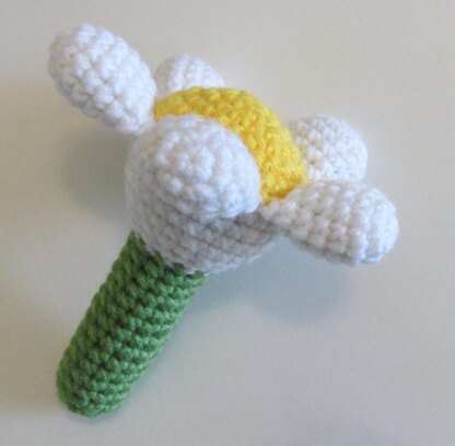 Daisy Rattle