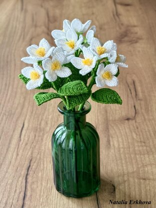 Jasmine