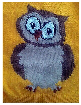 Owl sweater