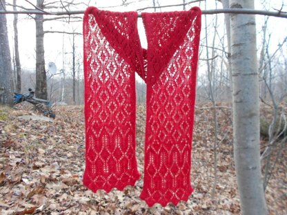 Cranberry Sauce Lace Scarf