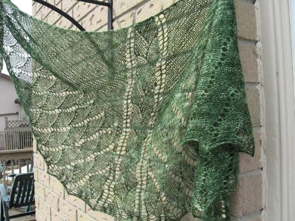 Hatchling Dragon Shawl