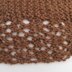 Spinner's Shawlette