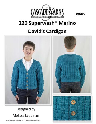 David’s Cardigan in Cascade Yarns 220 Superwash® Merino  - W665 - Downloadable PDF