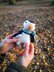 Pablo the Puffin