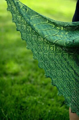 Dappled Hosta