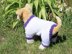 Dog Simple Chunky Onesie