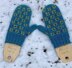 Petit Fleur Mittens