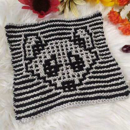 Raccoon Dishcloth