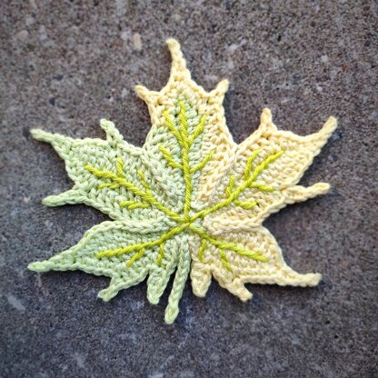 Maple Leaf