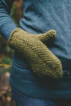 The Accessories Project Book 1 by Joanne Scrace and Kat Goldin