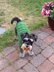 Kroko dog sweater