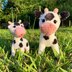 Cow Erna