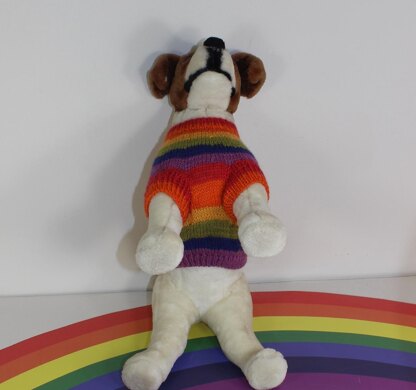 Small Dog Rainbow Back Button Up Dog Coat