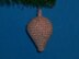 Christmas Pointed Ball Ornament C-144