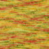 Spring Bloom (12205)
