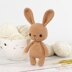 Little Ballerina Bunny