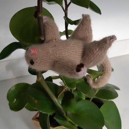 Silky anteater - knitting pattern