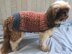 Walk The Dog Sweater