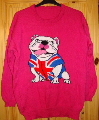 Childrens & Adults Bulldog Jumper