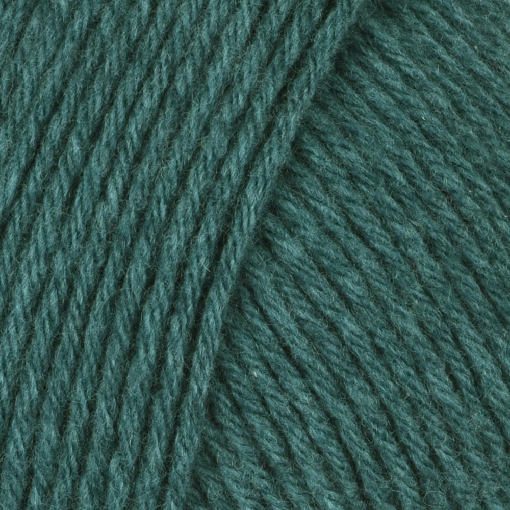 Teal (201362)
