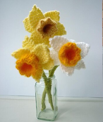 Daffodil Knitting pattern by Julie Taylor, Knitting Patterns