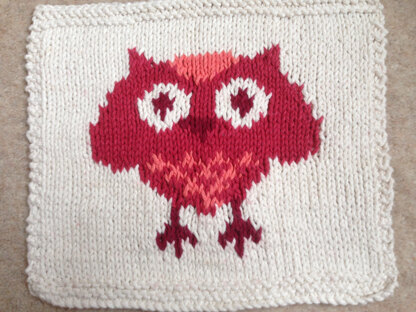 owl dishcloth
