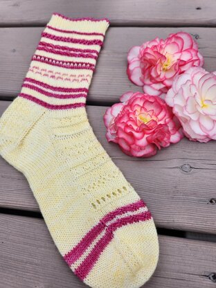 Stitchery Sampler Socks