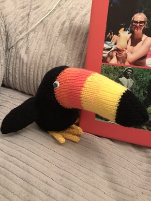 terry toucan